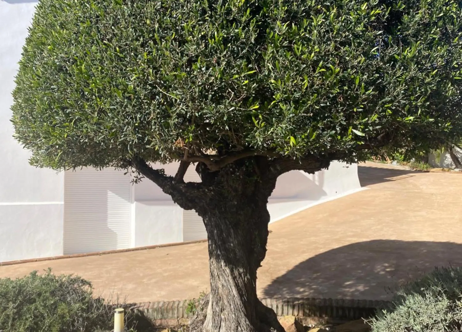 Apartmán Villa Shangri-La, Sea View, Pool And Panoramic View Sotogrande